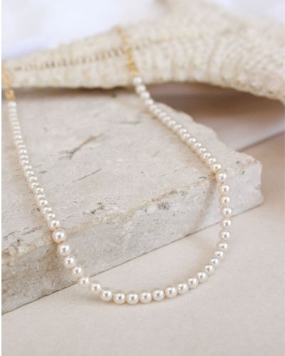 Choker Pérola Pequena Banhado a Ouro 18k 