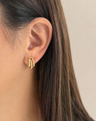 Brinco ear hook 3 elos