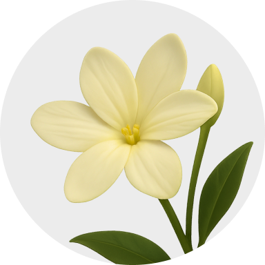 Florais