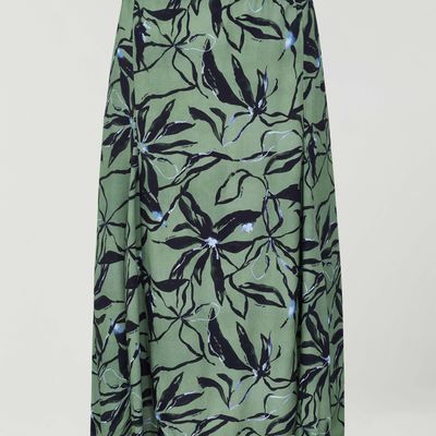 SAIA CEDRUS MUSGO