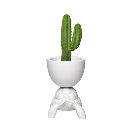  Turtle Carry Planter and Champagne  | Qeeboo