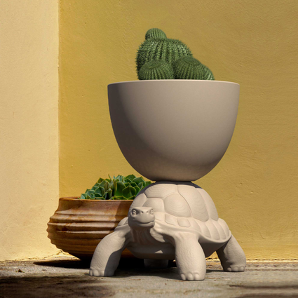  Turtle Carry Planter and Champagne  | Qeeboo