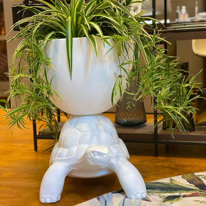  Turtle Carry Planter and Champagne  | Qeeboo