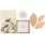 Kit Decorativo de Parede Birds com Quadro Pássaros, Quadro Sêneca, Prato Decorativo e Folhas em Palha