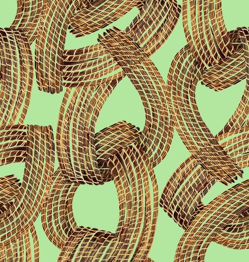 capim-dourado