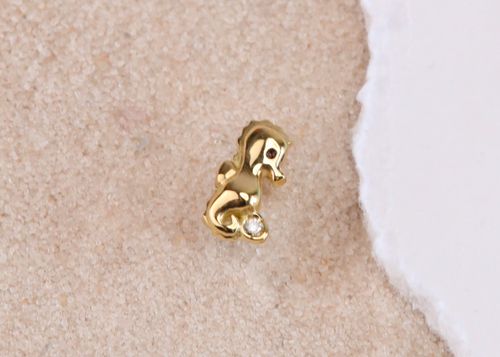 Brinco Seahorse