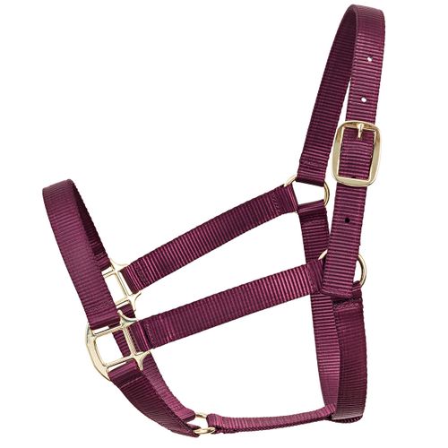Cabresto De Nylon Bordado Personalizável