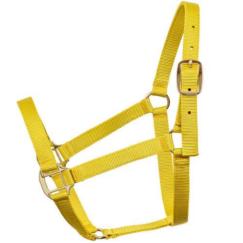 Cabresto De Nylon Bordado Personalizável