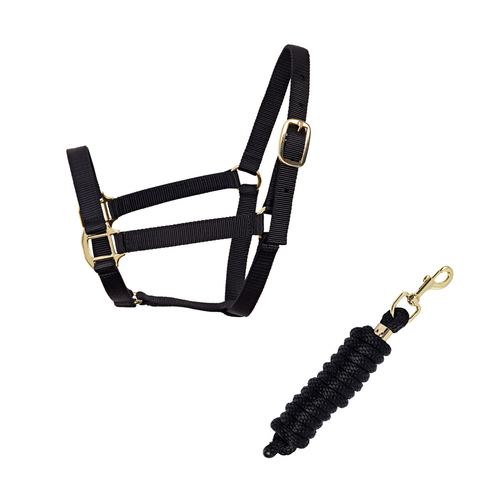 Combo Cabresto de Nylon + Guia Poliéster Import