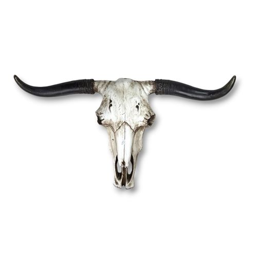 Caveira de Boi Decorativa em Resina