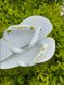 Havaianas Top Branco + Escrita Dourado + Borboleta Amarela 