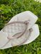 Chinelo Lunielly Laço P Bege 