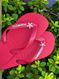 Havaianas Top Vermelho Rubi + Escrita Dourada + Estrela do Mar