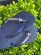 Havaianas Top Marinho + Escrita Dourada + Estrela do Mar