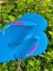 Havaianas Top Turquesa + Escrita Rosa