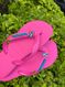 Havaianas Top Rosa Flux + Escrita Azul + Stitch Azul Orelha Rosa