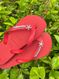 Havaianas Top Vermelho + Escrita Prata + Estrela do Mar