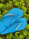 Havaianas Top Turquesa + Escrita Prata + Estrela do Mar
