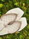 Chinelo Infantil Lunielly Strass Bege 