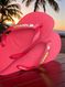 Havaianas Top Vermelho + Escrita Dourada + Borboleta Branca
