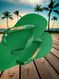 Havaianas Top Verde + Escrita Dourada