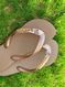 Havaianas Top Rose Gold + Escrita Dourada + Capivara 