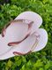 Havaianas Top Rosa Ballet + Escrita Dourada + Flor Branca Pedra Rosa
