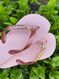 Havaianas Top Rosa Ballet + Escrita Dourada + Estrela do Mar