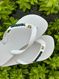 Havaianas Top Branco + Escrita Verde + Borboleta Verde
