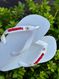 Havaianas Top Branco + Escrita Vermelho + Flor Branca Pedra Vermelho