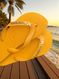 Havaianas Top Amarelo Pop + Escrita Dourada + Borboleta Branca