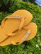 Havaianas Top Amarelo + Escrita Prata + Estrela do Mar