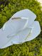 Havaianas Square Branco + Escrita Dourado 