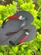 Havaianas Top Preto + Escrita Vermelha + Minnie