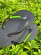 Havaianas Top Preta + Escrita Verde Neon