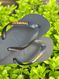 Havaianas Top Preta + Escrita Dourada