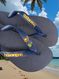 Havaianas Top Marinho + Escrita Dourada + Tucano + Coqueiro