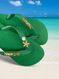 Havaianas Top Verde + Escrita Dourada + Concha + Estrela