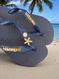 Havaianas Top Marinho + Escrita Dourada + Concha + Estrela