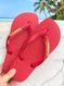 Havaianas Top Vermelha + Escrita Dourada + Cereja 