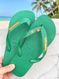 Havaianas Top Verde + Escrita Dourada + Bandeira Brasil e Tucano