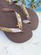 Havaianas Top Café + Escrita Dourada + Estrela, Concha, Tartaruga e Ponto de Luz