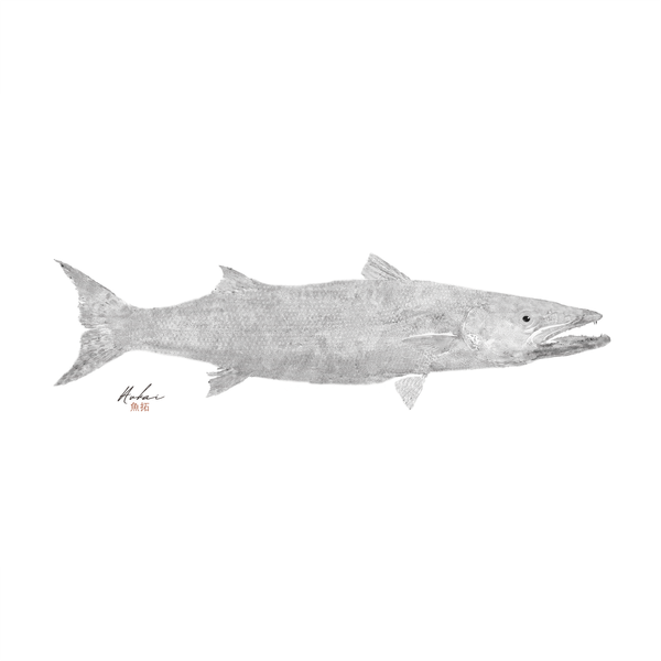 Obras - Aukai Gyotaku