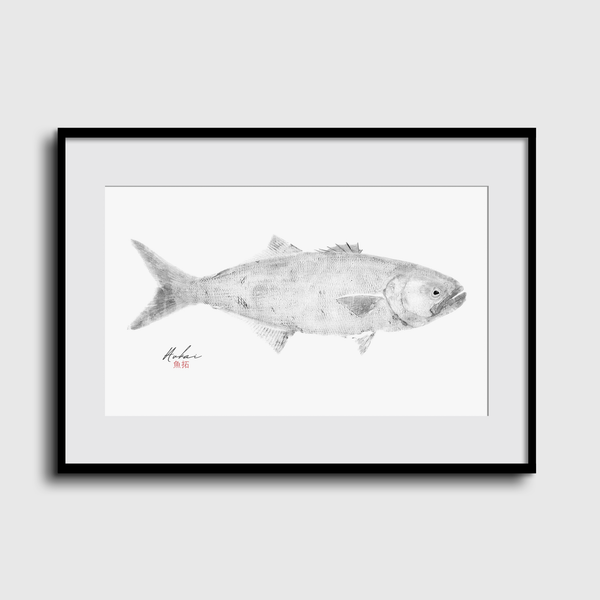 Obras - Aukai Gyotaku