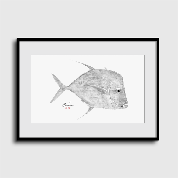 Obras - Aukai Gyotaku