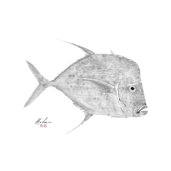 Obras - Aukai Gyotaku
