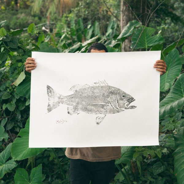 Obras - Aukai Gyotaku