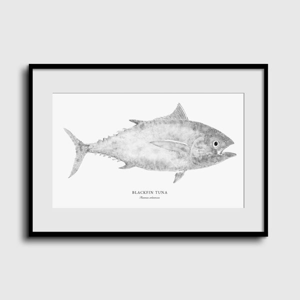 Obras - Aukai Gyotaku