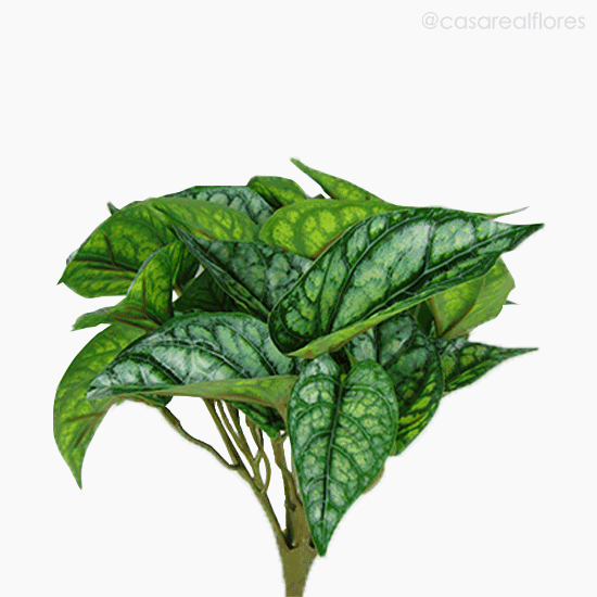 Foto do produto Buquê Folha Argreia Artificial - Verde (11421)