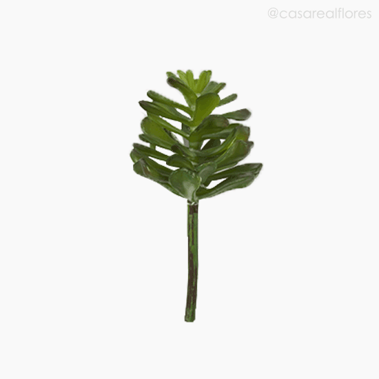 Foto do produto Suculento Artificial - Verde (11417)